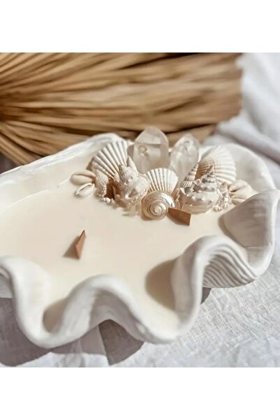 Yaratıcı sanatlar atölyesi Gerçek Deniz Kabuklarıyla Süslü Dekoratif Doğal So...