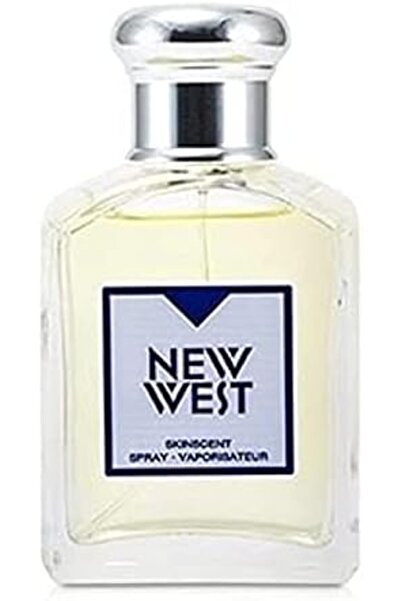 Aramis Skin Scent Spray by New West, 100ml for Men
