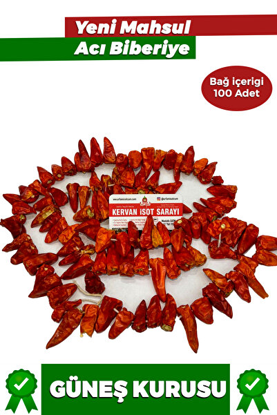 URFAM İSOTÇUM Kuru Acı Biberiye 100 Adet Yeni Mahsül