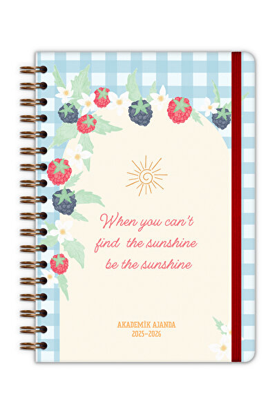 Matt Notebook 2025-2026 B5 Akademik Ajanda Spiralli 17x24 cm - 17 Aylık