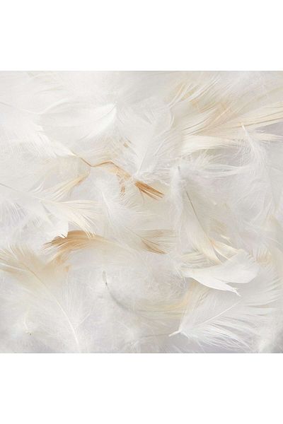 Muji Feather Pillow, W 50 X L 70 cm, White
