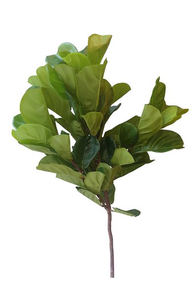 Generic Fiddle Leaf Tree Artificial Tree 1.70m High