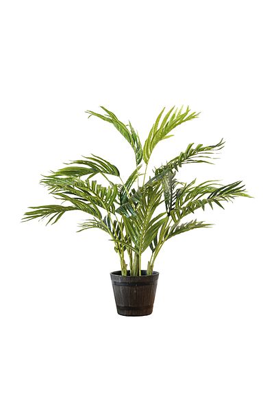 Generic Artificial Areca Palm Tree 70cm