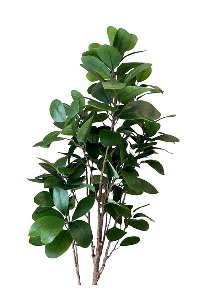 Generic 2m artificial ficus tree