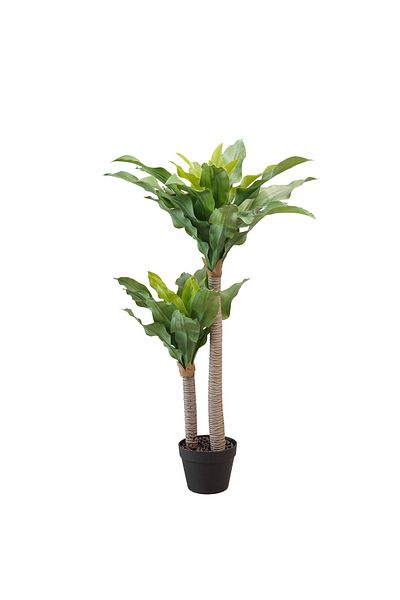 Generic 1m Artificial Yucca Tree