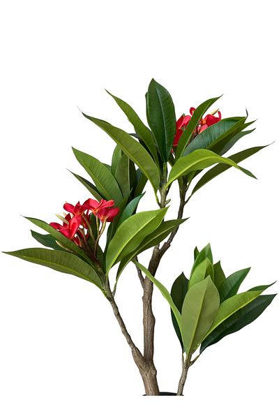 Generic 90cm Artificial Plumeria Tree