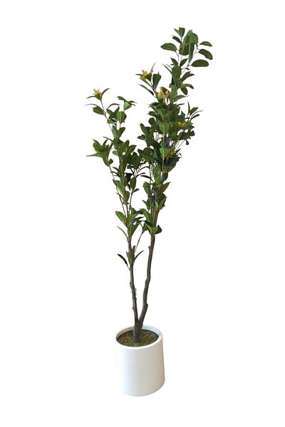 Generic 1.5m artificial fragrans tree
