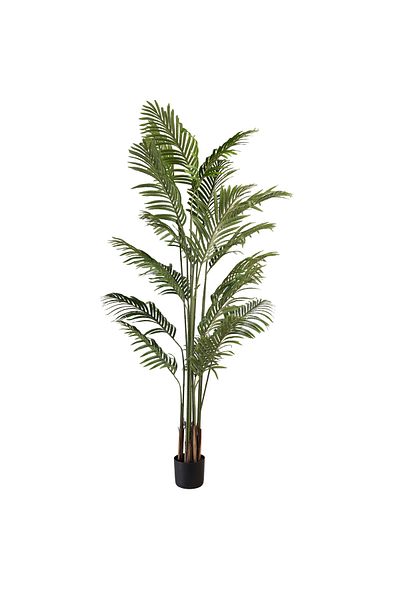 Generic 2m Artificial Kwai Palm Tree