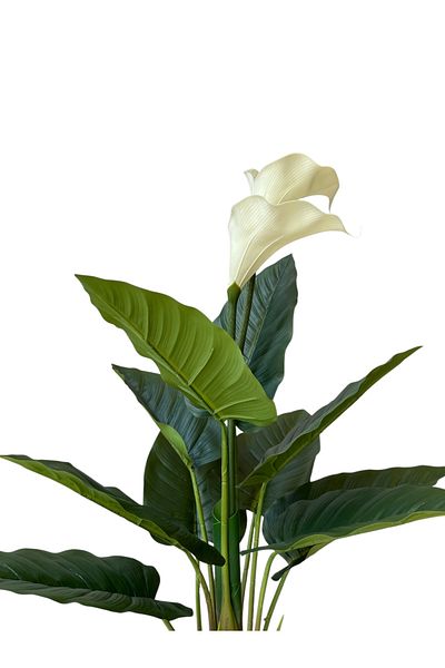 Generic 1.5m Artificial White Grass Tree