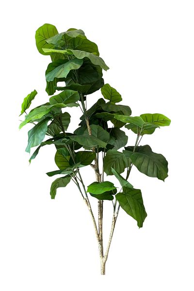 Generic 2m Artificial Ficus Umbrella Tree