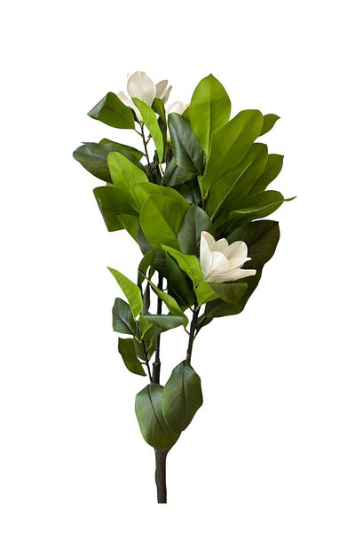 Generic نبات الماغنوليا الابيض الصناعي مقاس 1٫2م