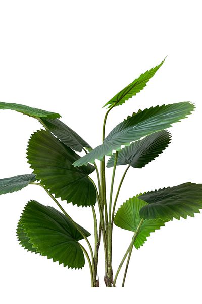 Generic Palm Tree Artificial Fan 95cm