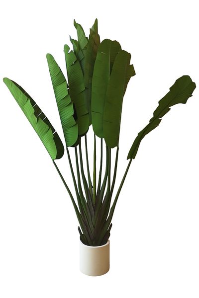 Generic Australisia tree 2.20 m