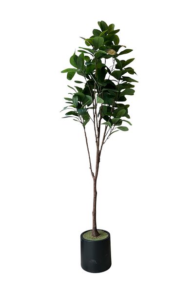Generic 2m artificial ficus tree