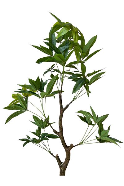 Generic 1m Fortune Artificial Tree