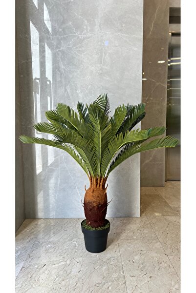 Generic 1m artificial cycad tree