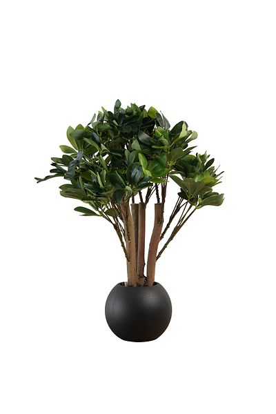 Generic 60cm artificial maple tree