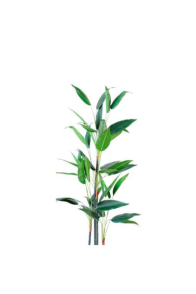Generic 1.6m Artificial Bird of Paradise Tree