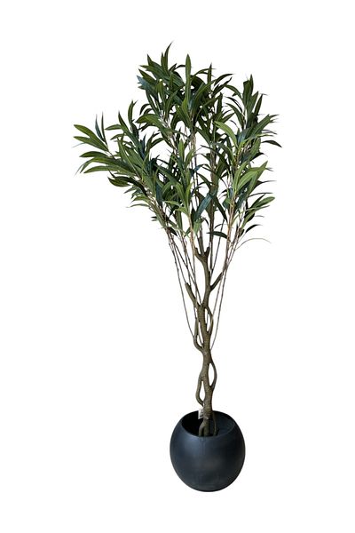 Generic 2m artificial dracaena tree