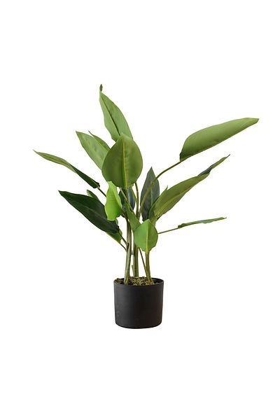 Generic Artificial Australian Banana Tree 78cm