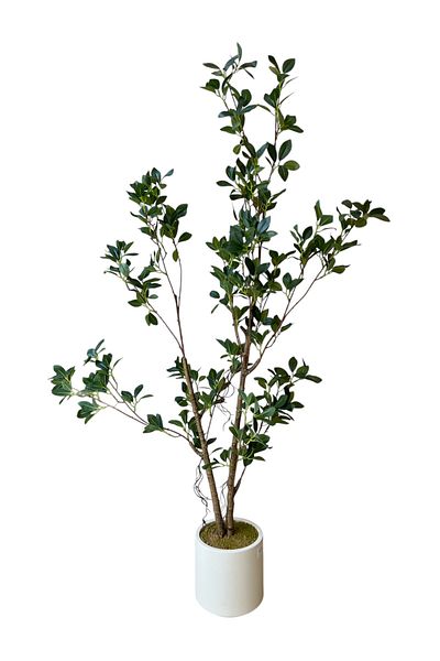 Generic 1.3m Artificial Small Ficus Tree