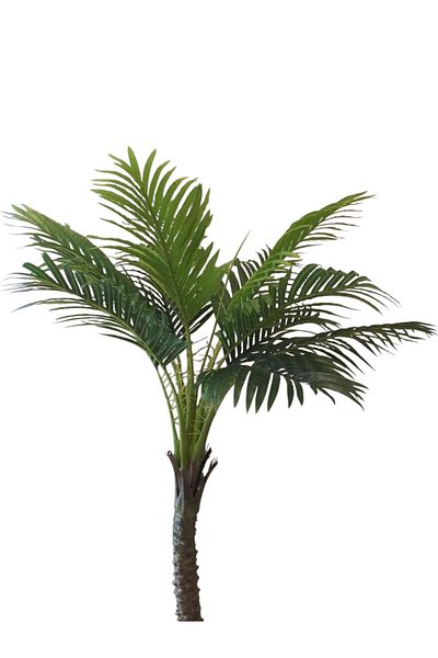 Generic 1.5m artificial palm tree