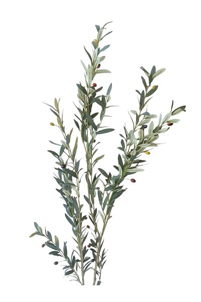 Generic Artificial olive tree - 1.50 m