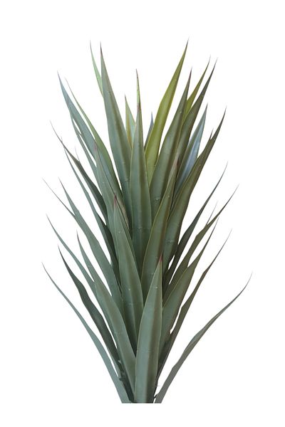 Generic Yucca Tree - Artificial Tree - 1.20 m