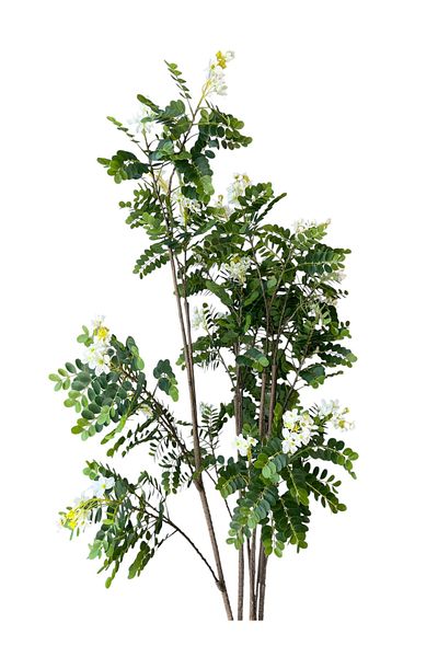 Generic Artificial white roly-poly tree with a real texture, height 2.10 meters, width of the stand 29.5 cm