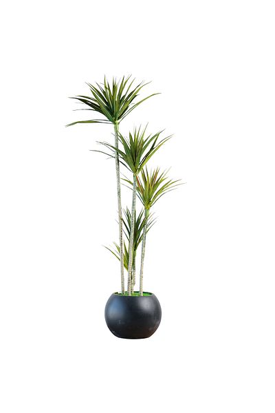 Generic Artificial sykes tree