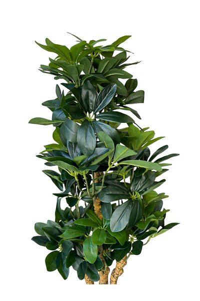 Generic Artificial Schefflera tree 85 cm