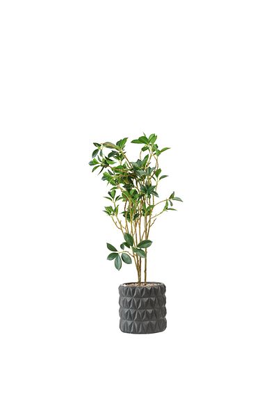 Generic 60 cm artificial green tree