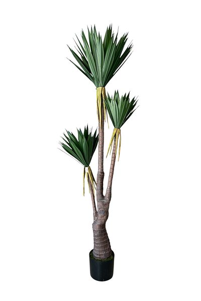 Generic Artificial Yucca Tree 3 Branches 2m
