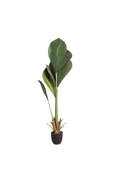 Generic 1.2m Artificial Licoala Palm Tree