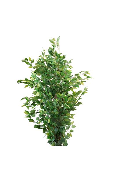 Generic 1.6m artificial ficus tree