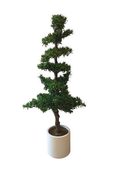 Generic 1.40m Artificial Podocarpus Tree