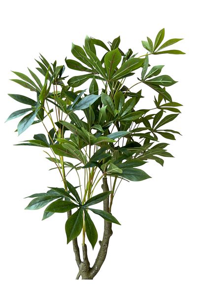Generic 1.3m Artificial Cassava Tree