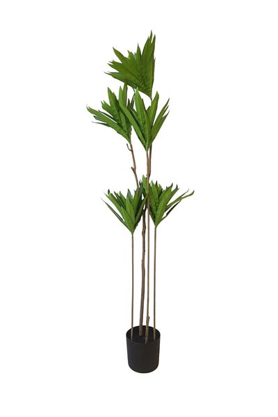 Generic Yucca Tree - 1m Artificial Tree