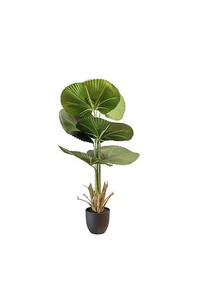 Generic 1 meter artificial licuala tree