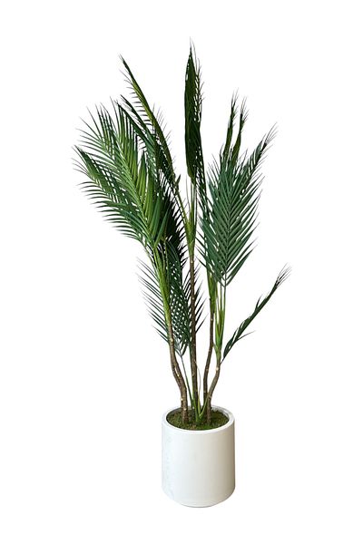Generic Artificial palm tree 1.20m