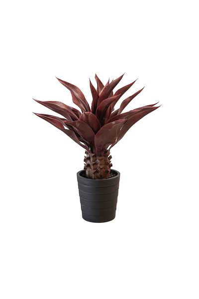 Generic 80cm artificial red cactus tree