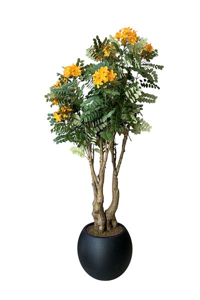 Generic Artificial Cassia Tree with Yellow Flowers 1.35m