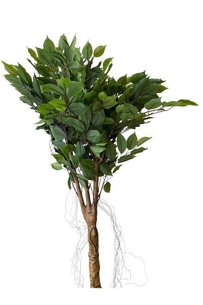 Generic 1.2m Artificial Small Ficus Tree