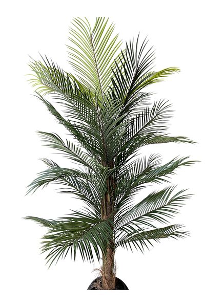 Generic Artificial palm tree 1.80m