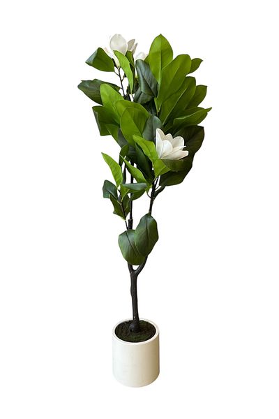 Generic نبات الماغنوليا الابيض الصناعي مقاس 1٫2م