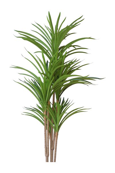 Generic Dracaena Tree - Artificial Dracaena Plant - 1.20 m