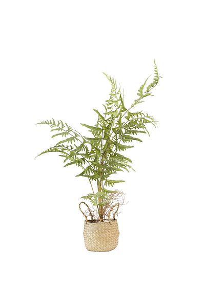 Generic Small tree in artificial vegetation