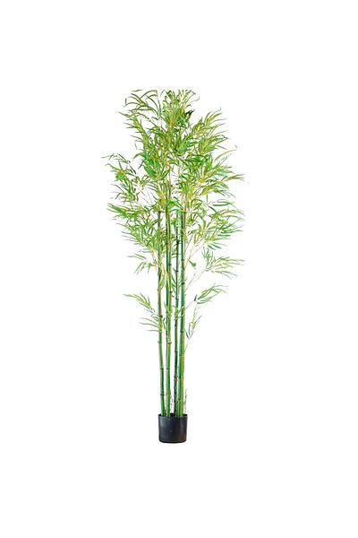 Generic Artificial bamboo tree 2.2 meters