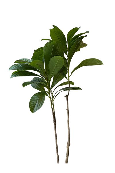Generic Artificial Magnolia Tree 1.5m Height