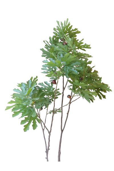 Generic Artificial fig tree, 1.80 m high
